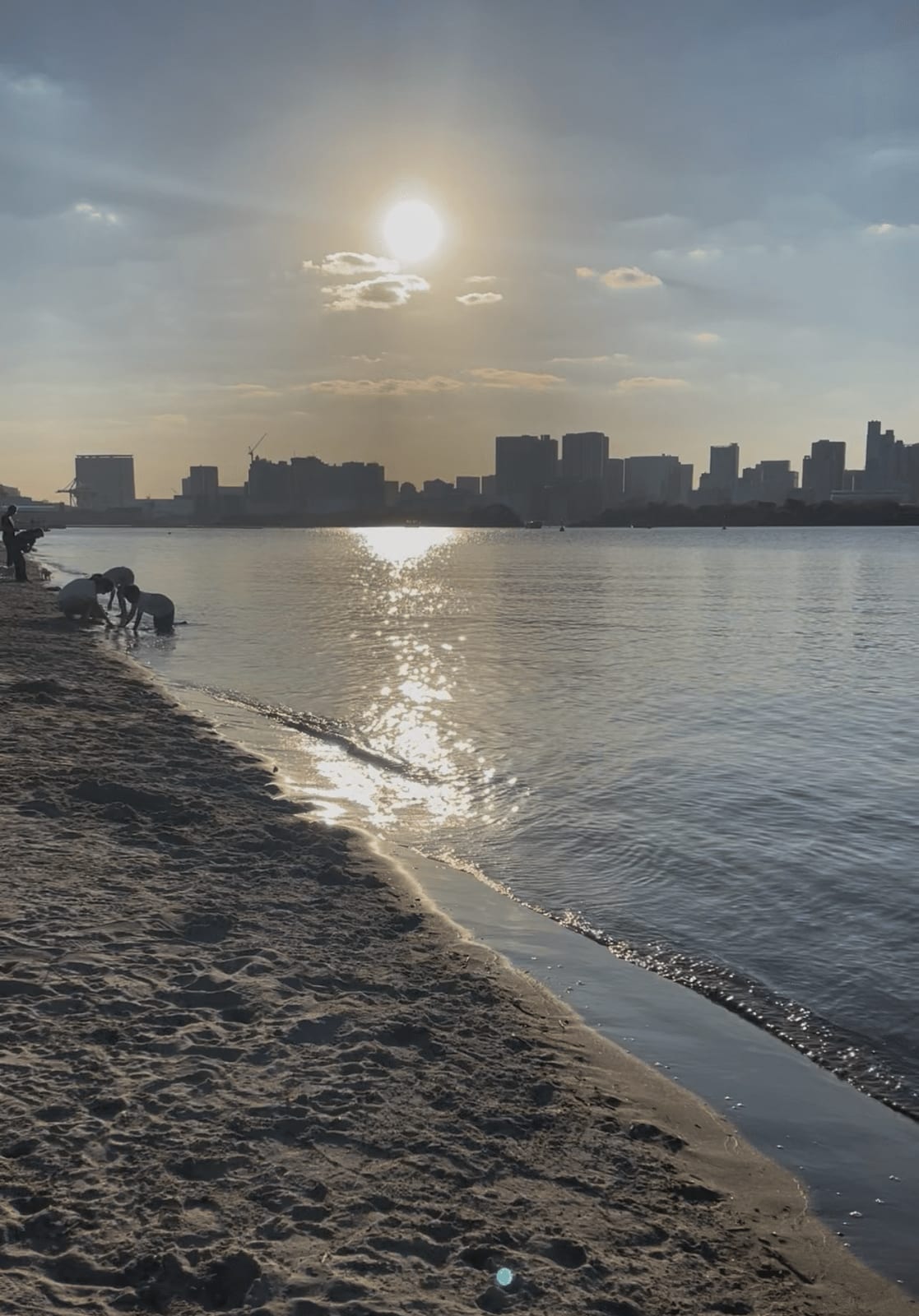 夕方の光が差すお台場の砂浜と、対岸のビル群