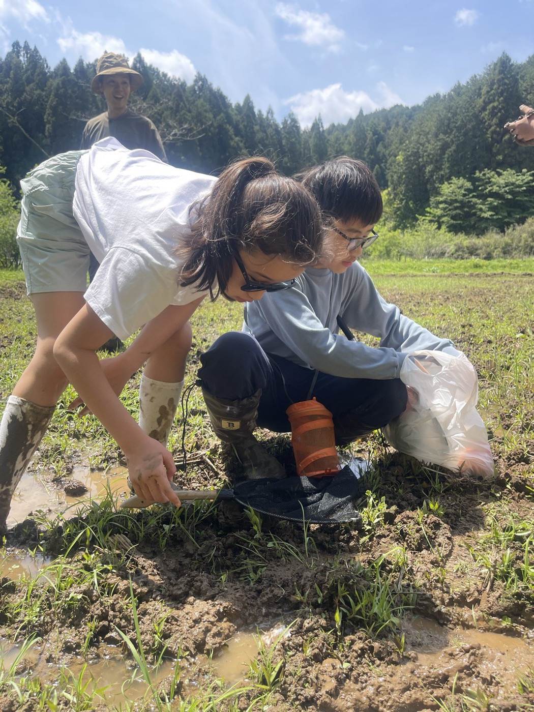 泥の野原でいきものを観察する子どもたち