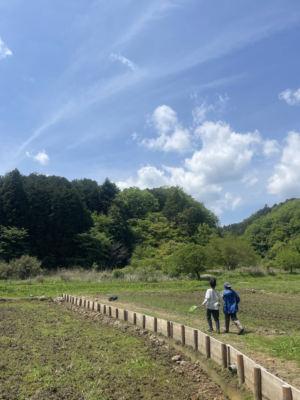 緑の野原を歩く子どもたち