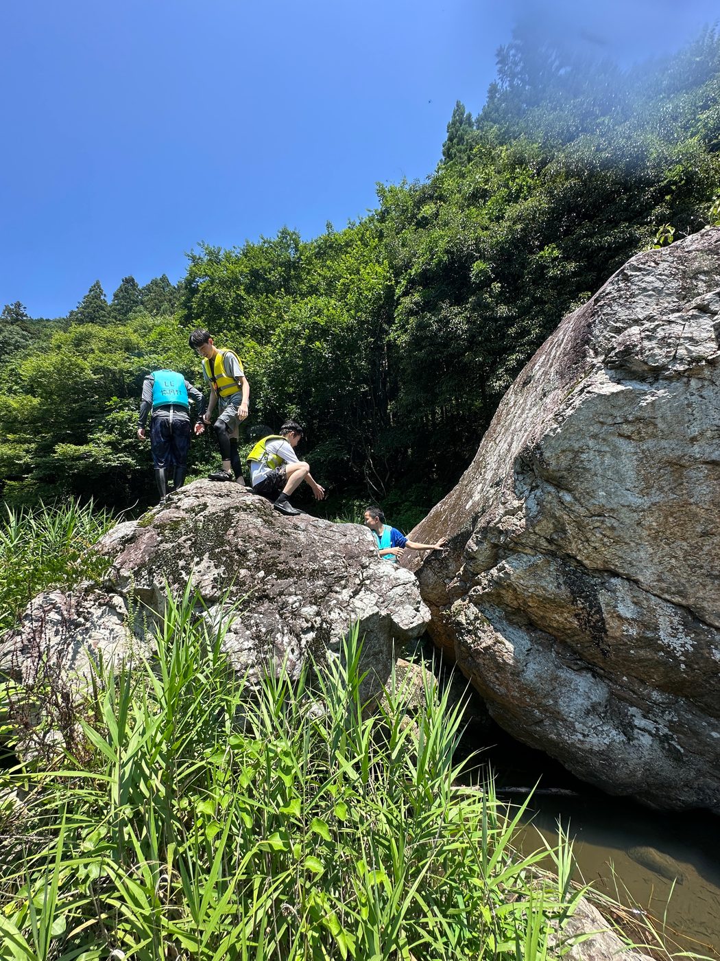 沢の大きな岩をよじ登る子どもたち